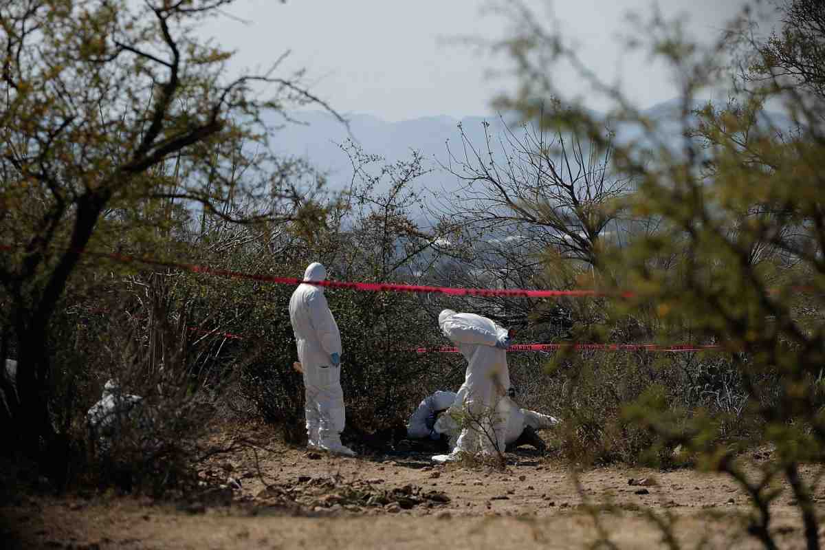 Localizan 24 cuerpos en fosas clandestinas en Baja California; colectivos participan en las labores 