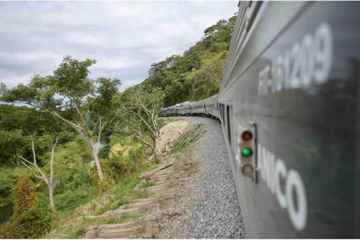 Marina niega que Tren Interoceánico opere sin seguro en 2026 pese a declarar desierta licitación