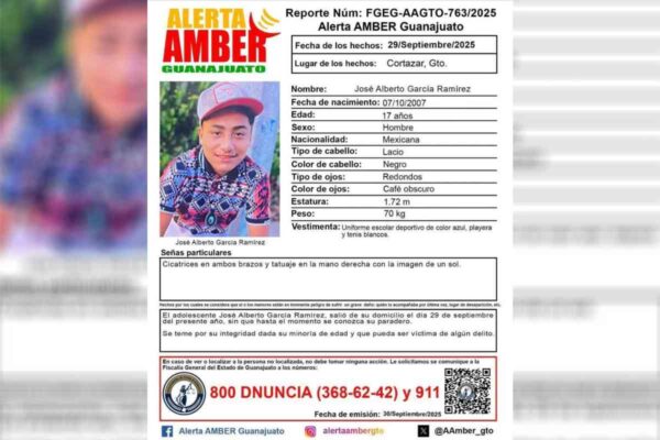 Padre buscador de Guanajuato denuncia amenazas, atentados, omisiones y revictimización