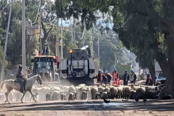 En Palma Gorda, Hidalgo, denuncian enfermedades y pérdidas económicas por obras del tren AIFA-Pachuca