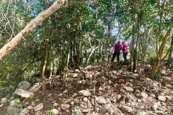 Profepa clausura obras en predio con valor ambiental y arqueológico en el Parque Dzibilchaltún, en Yucatán