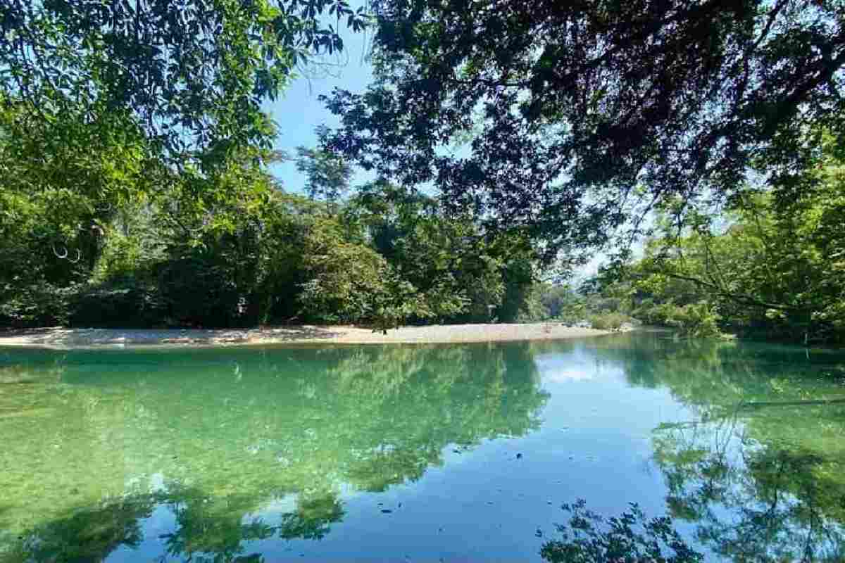  Resistencia en la Sierra Negra: la unión nahua que venció a una hidroeléctrica en Puebla