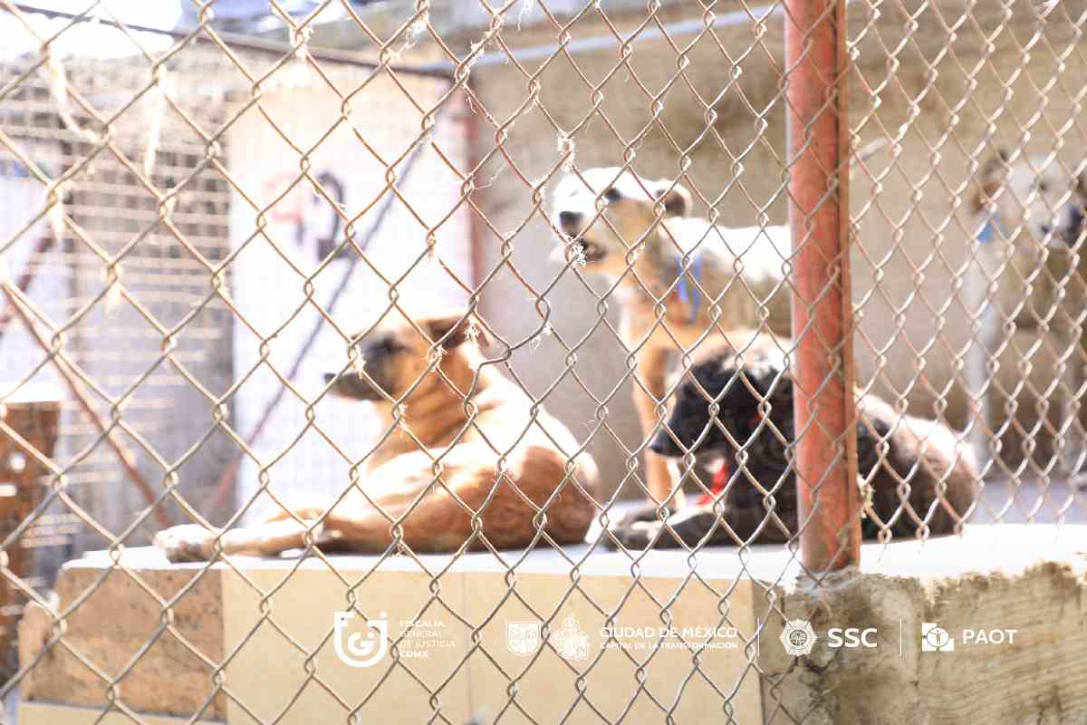 Refugio Franciscano asegura que cuenta con amparos para restituir albergue; Gobierno de CDMX reubica