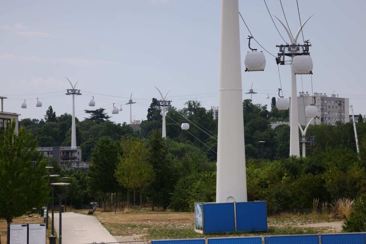 Retirarán árboles para construir Cablebús en Puebla; piden trasplantar para que ejemplares no mueran (1)