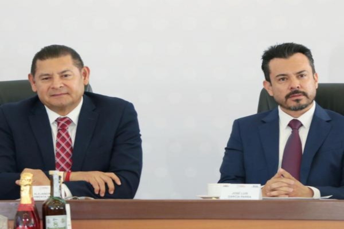 Retirarán árboles para construir Cablebús en Puebla; piden trasplantar para que ejemplares no mueran