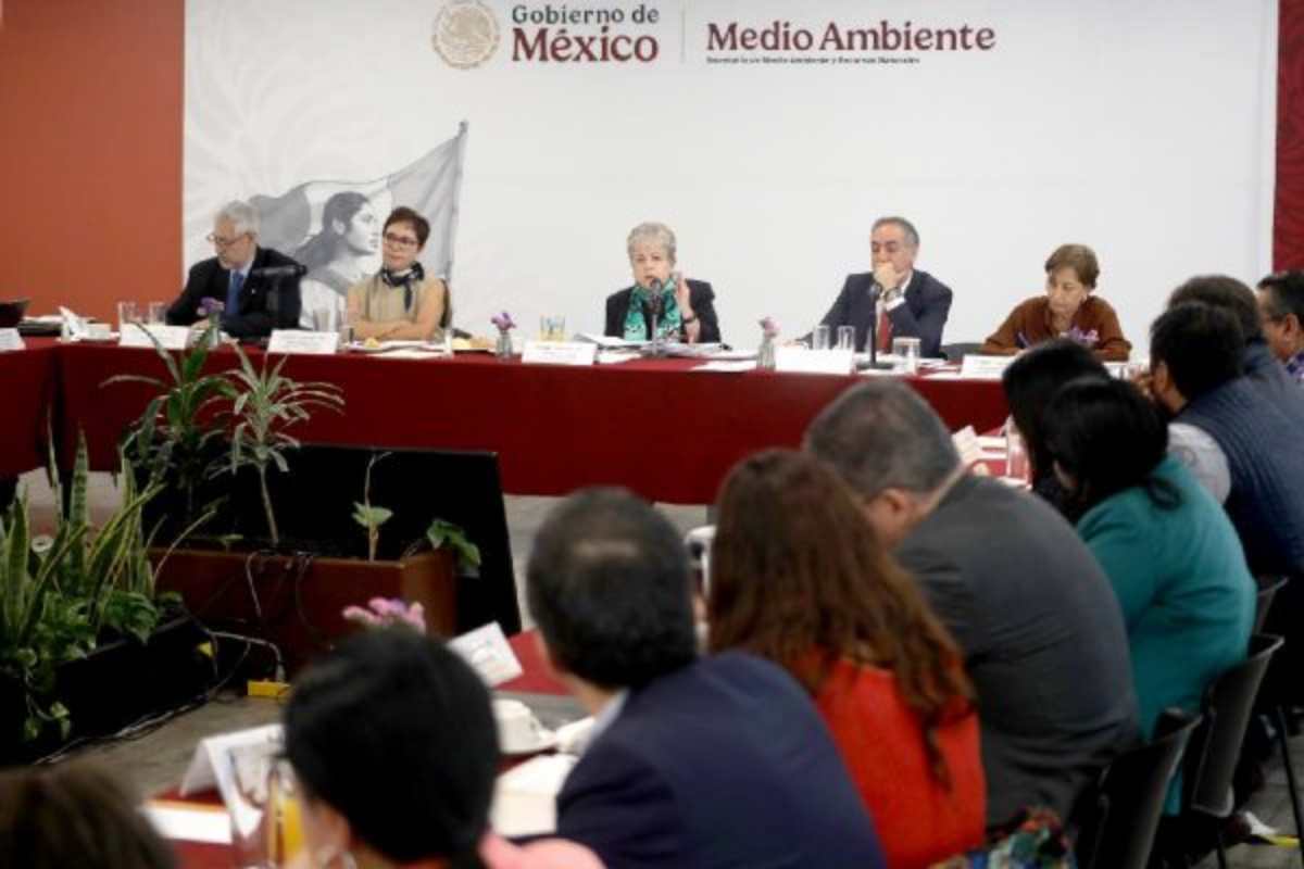 Semarnat daños Tren Maya