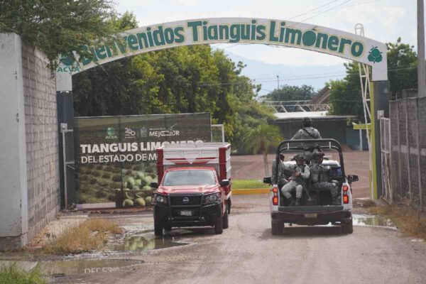Tianguis limonero en Michoacán bajo vigilancia