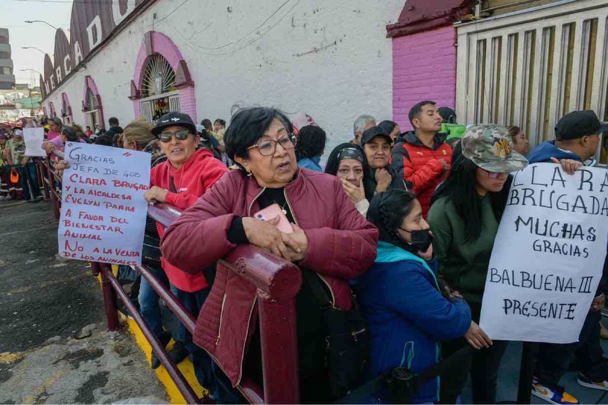 Vendedores de animales del Mercado de Sonora denuncian apoyo insuficiente para cambiar de giro_Animal_Político_3