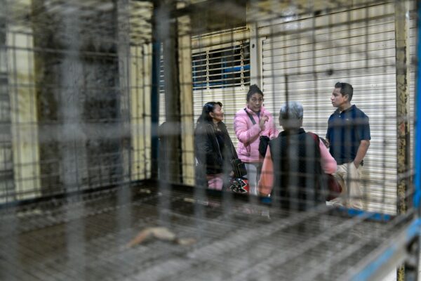 Vendedores de animales del Mercado de Sonora denuncian apoyo insuficiente para cambiar de giro. Foto: Israel Fuguemann