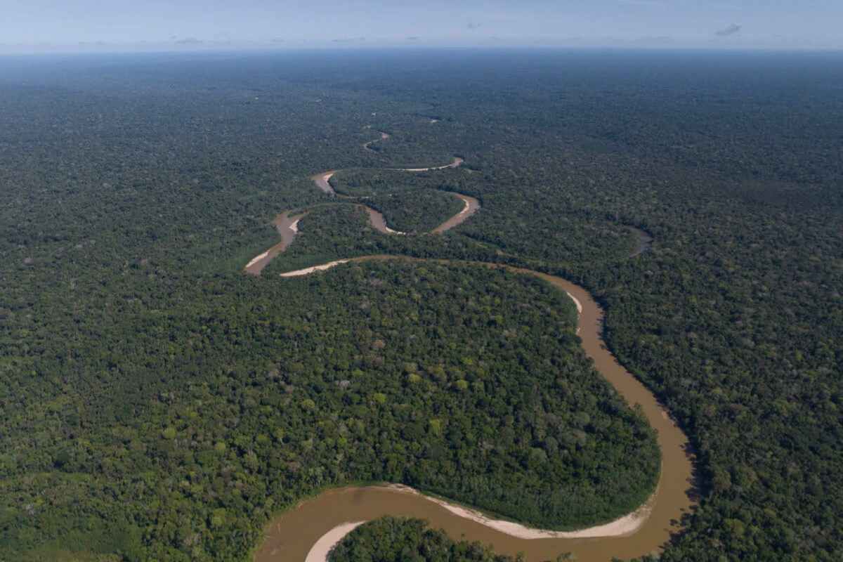Cuando cesó el financiamiento de USAID muchos proyectos, algunos en la Amazonía, se vieron reducidos e impactados. Foto: archivo Mongabay Latam
