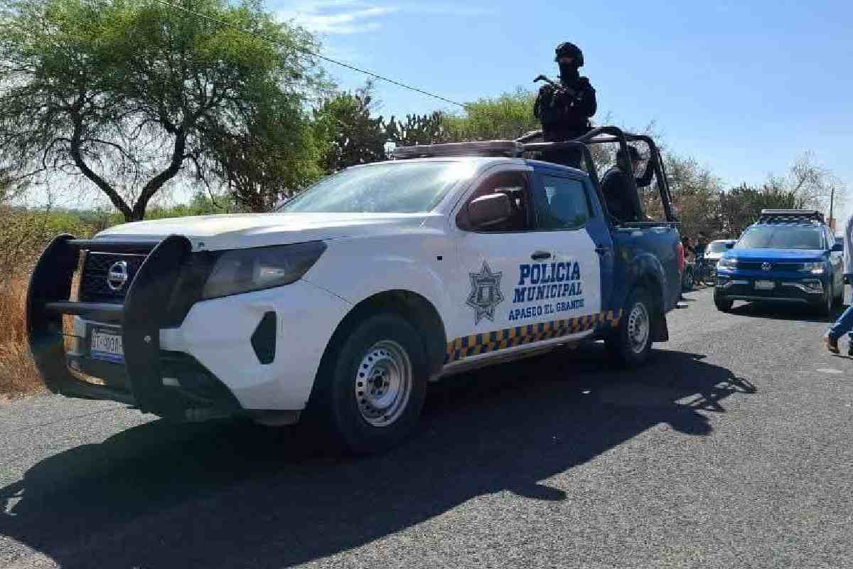 Violencia en Guanajuato: asesinan a José Antonio Meza, exregidor de Apaseo el Alto, en un negocio de comida