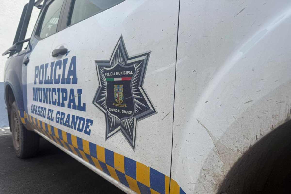 Violencia en Guanajuato: asesinan a José Antonio Meza, exregidor de Apaseo el Alto, en un negocio de comida