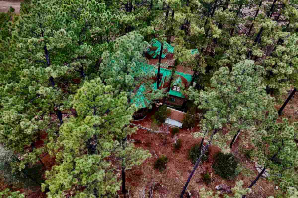 cabaña Javier Corral