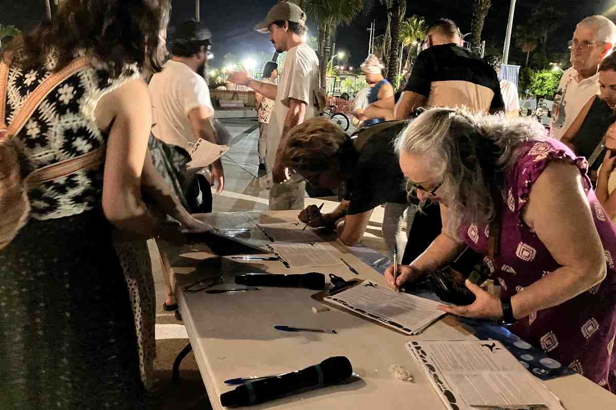 cartas ballenas golfo california