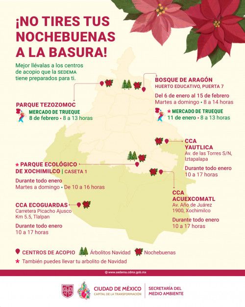 centros de acopio arbol navidad nochebuenas