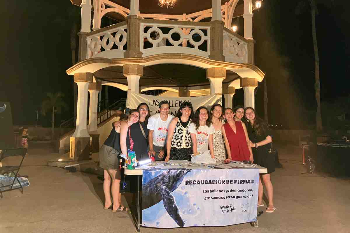 demanda ballenas golfo california