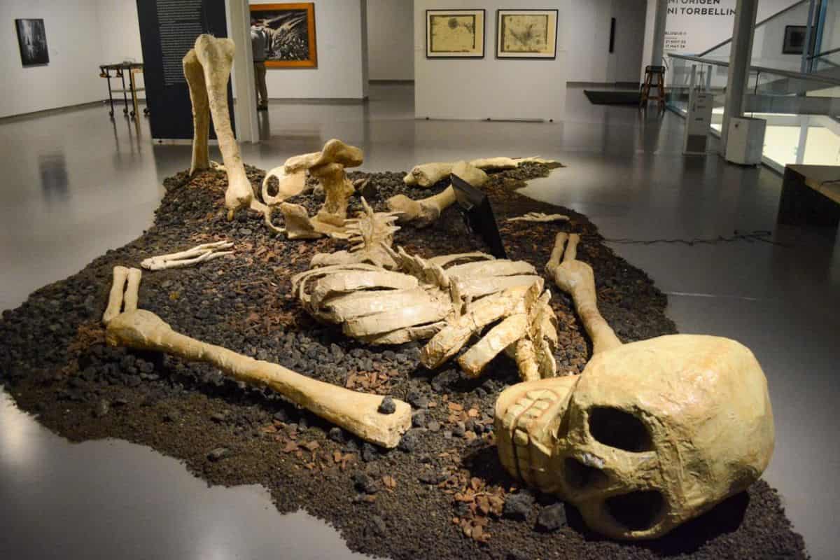 museo de arte carrillo gil nuevas exposiciones enero 2026