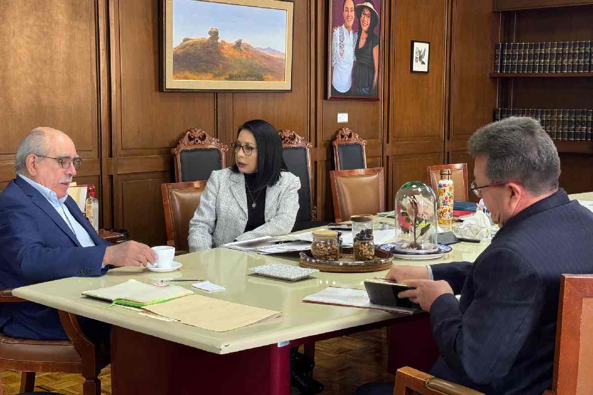 Ricardo Monreal fija ruta para aprobar la reforma electoral en marzo