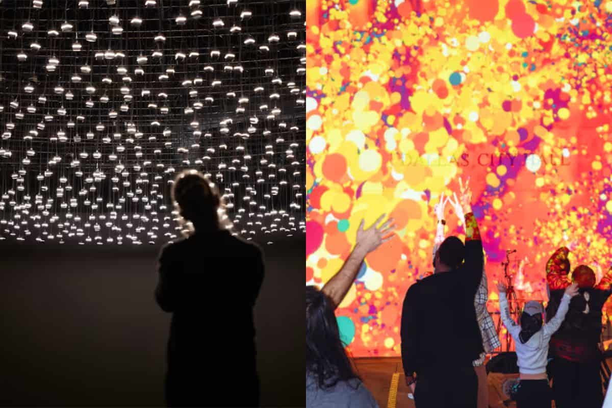 jardín inconcluso museo de arte moderno cdmx