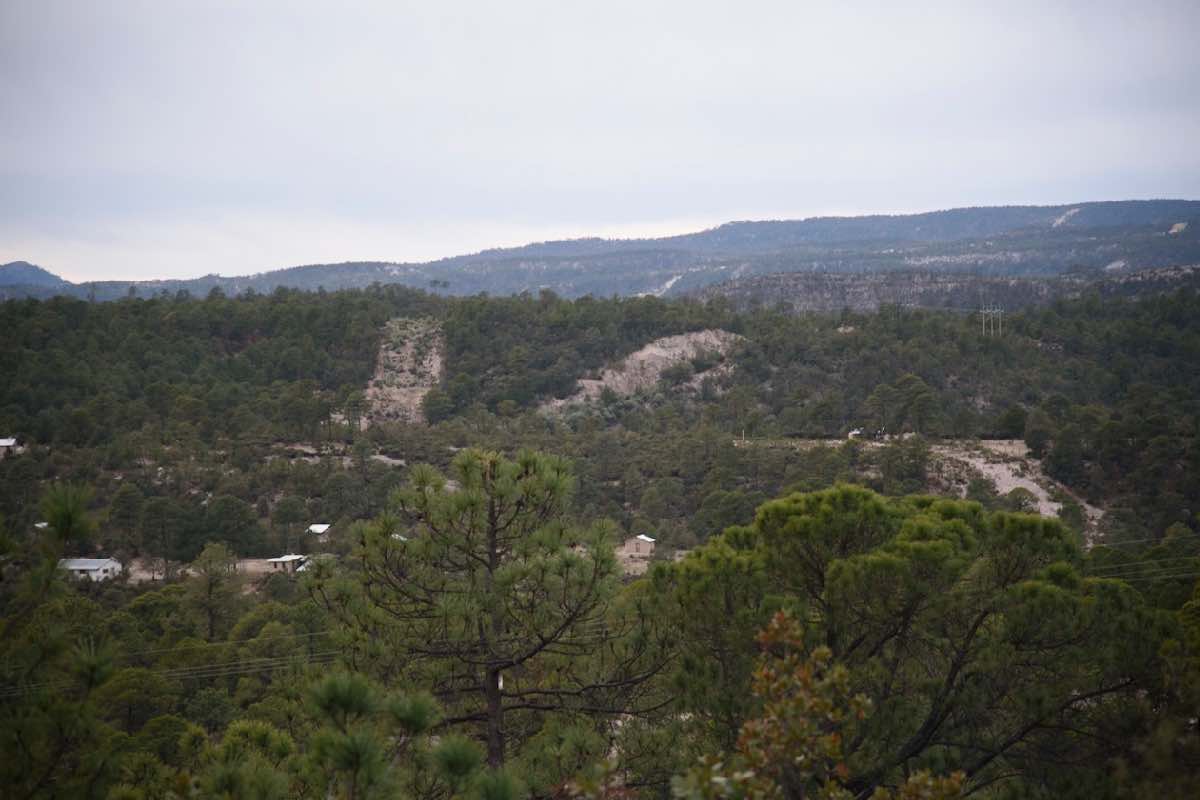 mogotavo-un-siglo-de-resistencia-contra-el-despojo-en-chihuahua-2