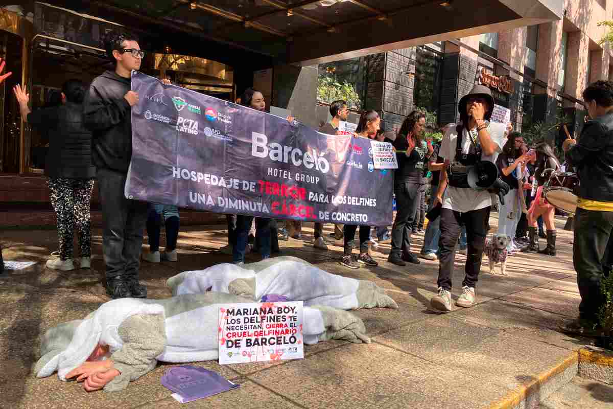 protestas Mincho delfín