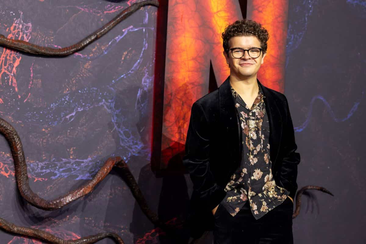 gatten matarazzo proximos proyectos stranger things