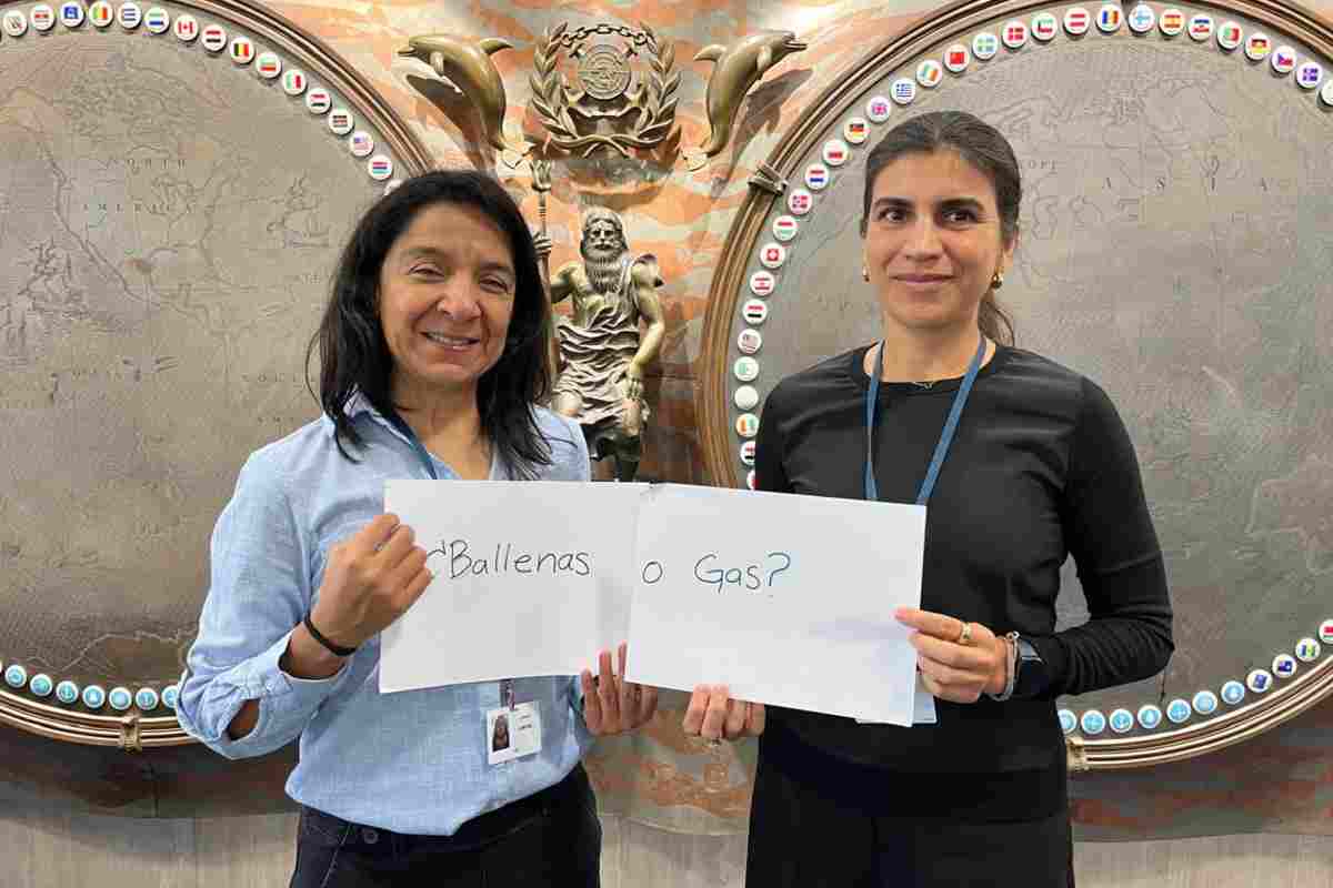 proyectos golfo de california gas licuado