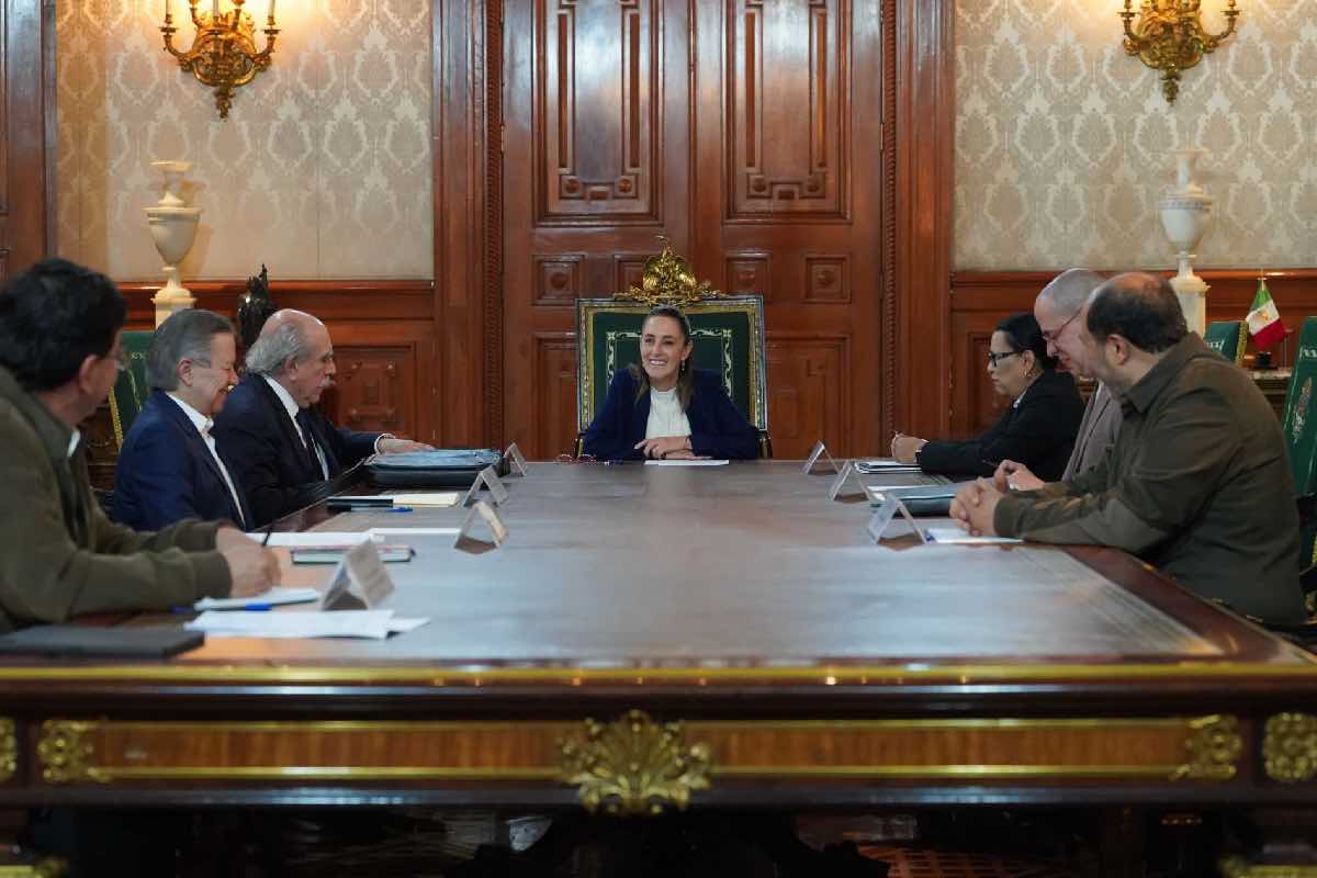 reforma-electoral Animal Político-2