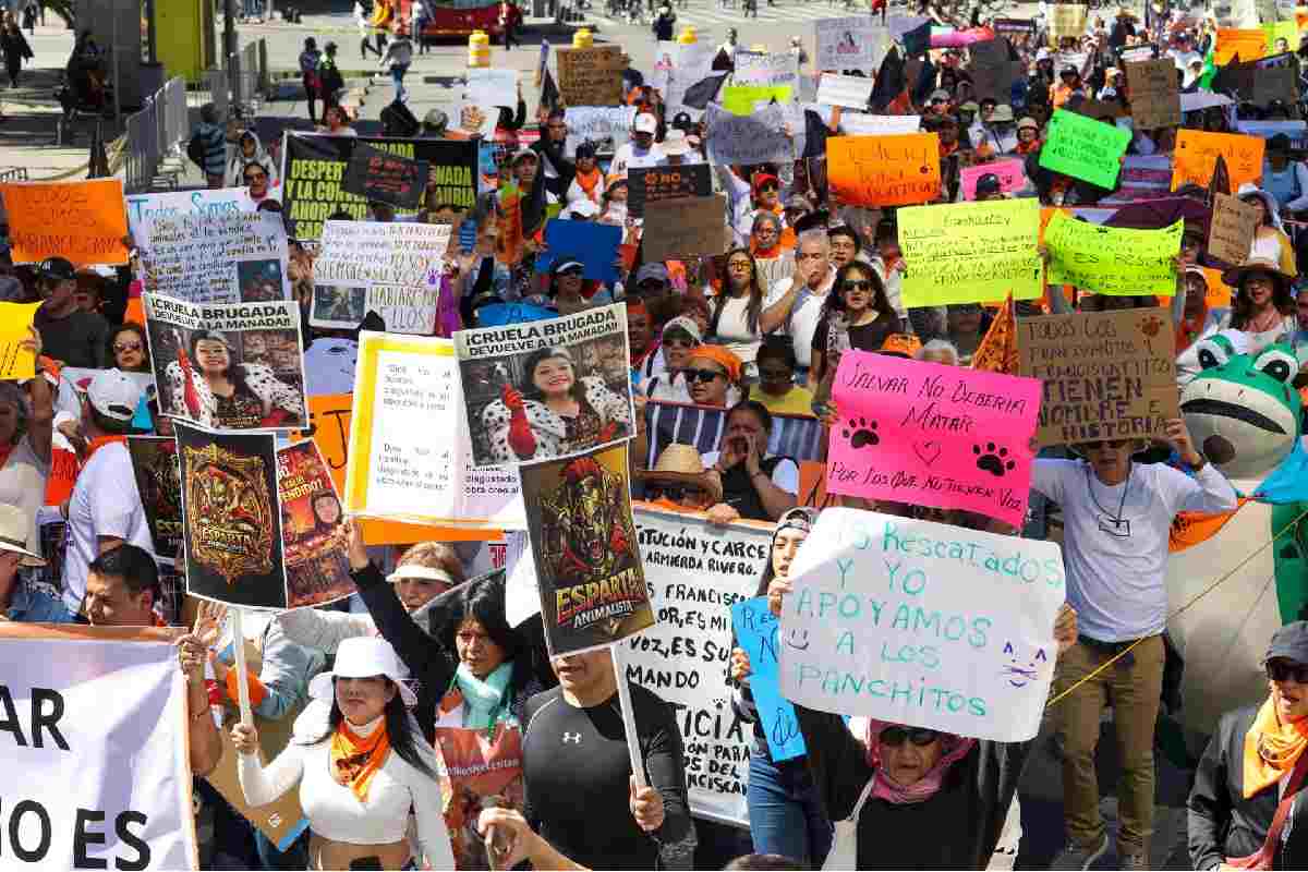Activistas marchan en CDMX para exigir devolución de animales del Refugio Franciscano; acusan montaje y negligencia en rescates
