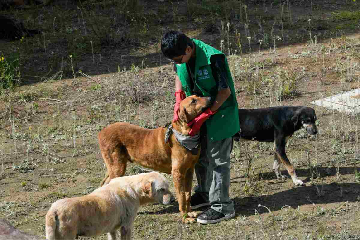 Brugada descarta construcción de desarrollo inmobiliario en terreno donde operaba el refugio Franciscano