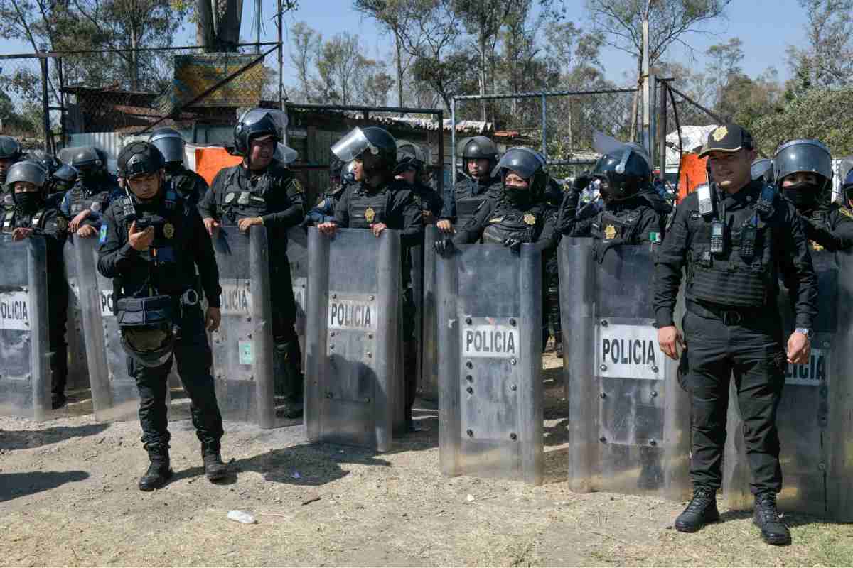 Activistas acusan contubernio para despojar al Refugio Franciscano del predio tras aseguramiento de animales por el Gobierno CDMX