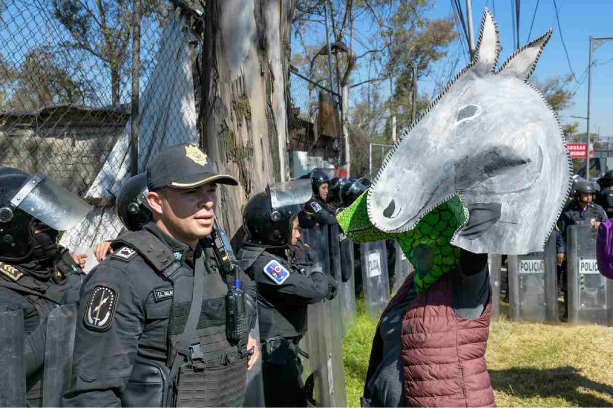 Activistas acusan contubernio para despojar al Refugio Franciscano del predio tras aseguramiento de animales por el Gobierno CDMX