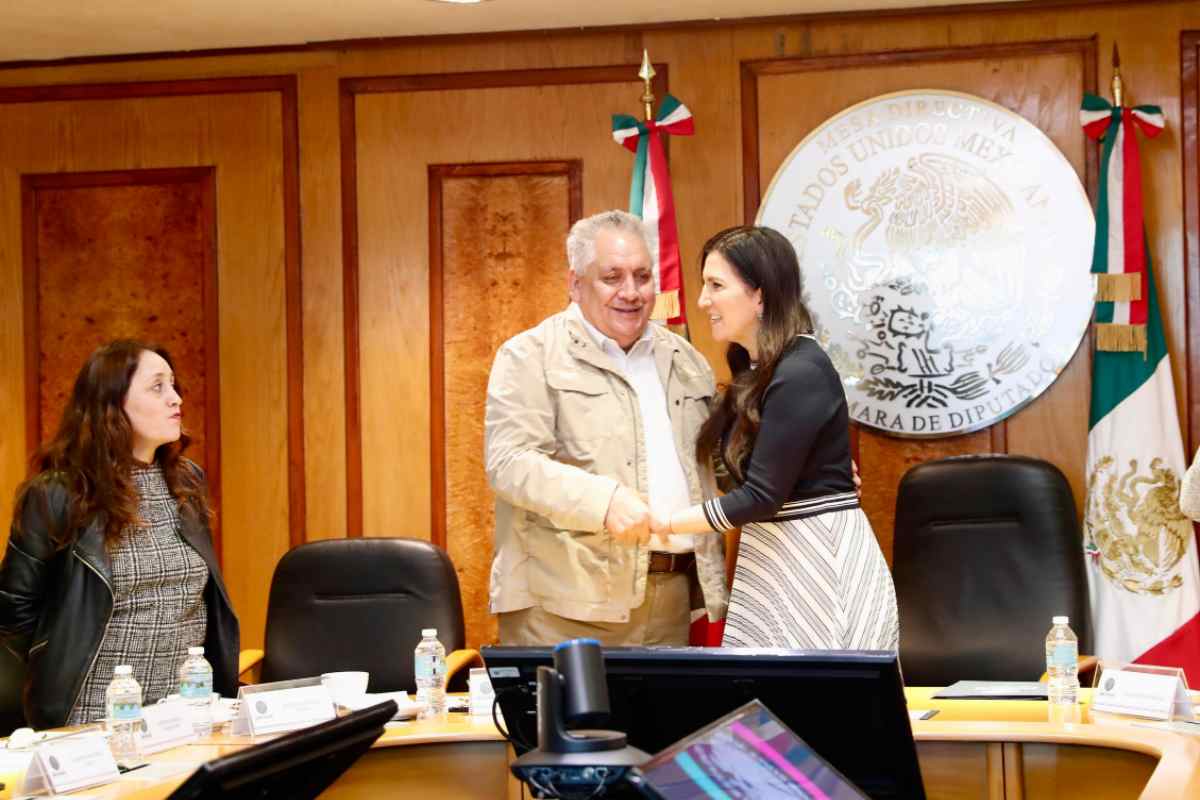 somos méxico guadalupe acosta reforma electoral