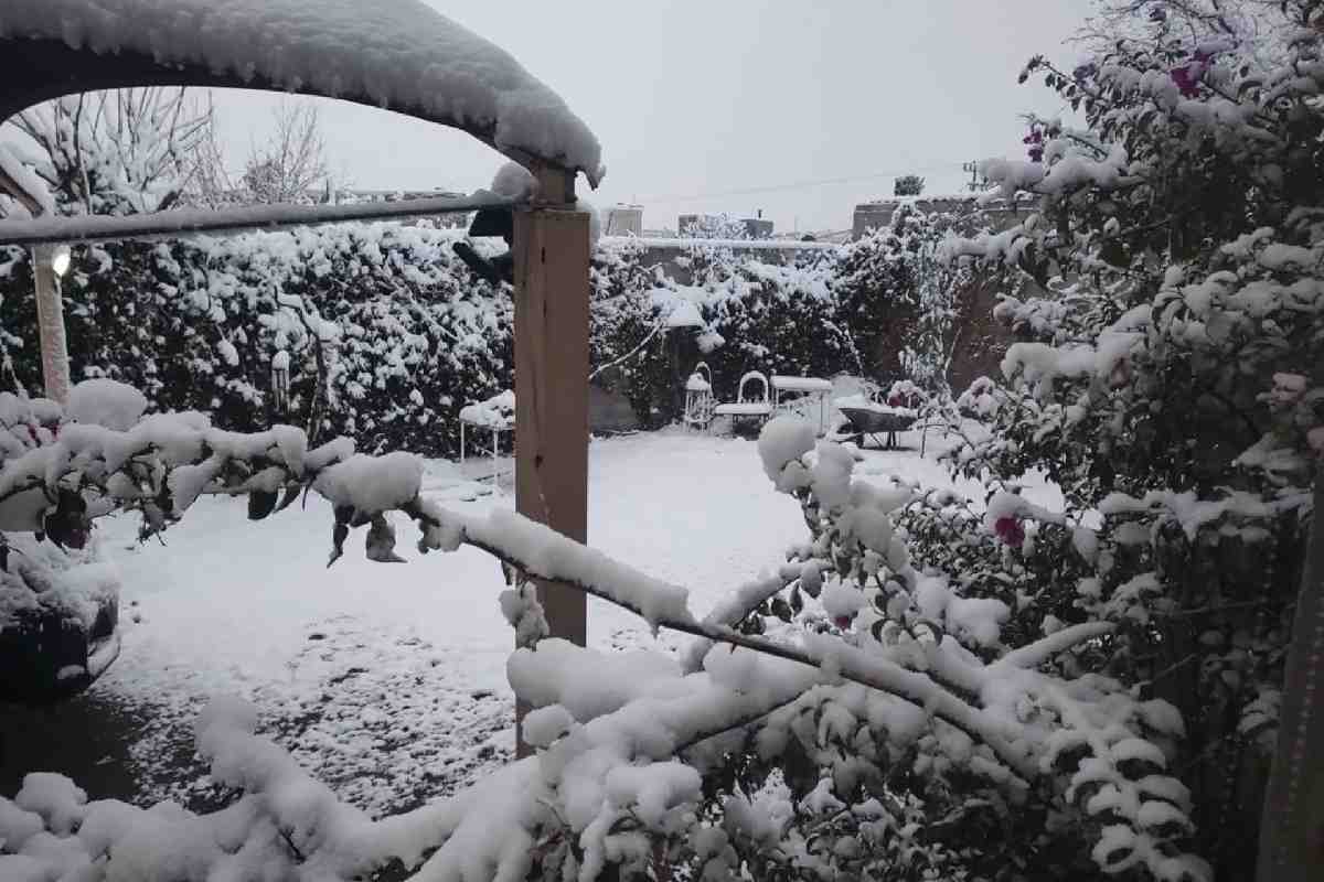 México se prepara ante riesgo de otra crisis de gas por tormenta invernal en Texas, señala Sheinbaum