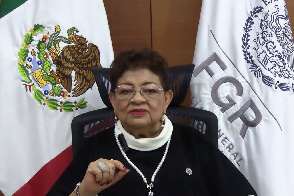 tren-interoceanico-expertos-dudan-exceso-velocidad-animal-político-7