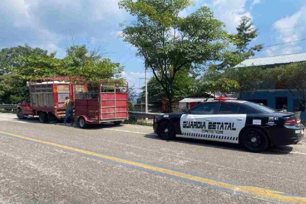 Activan Operación Hostigamiento en Chiapas; habrá retenes, filtros de seguridad y patrullajes en todo el estado