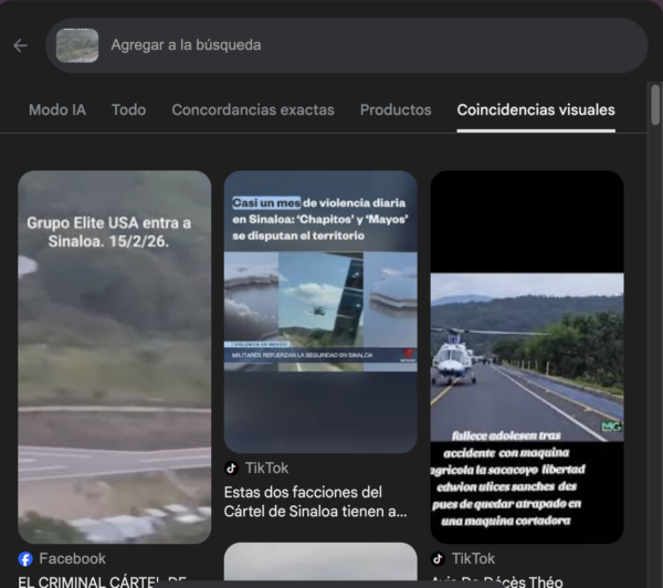 Fuente: Captura de pantalla de la búsqueda inversa en Google Lens.