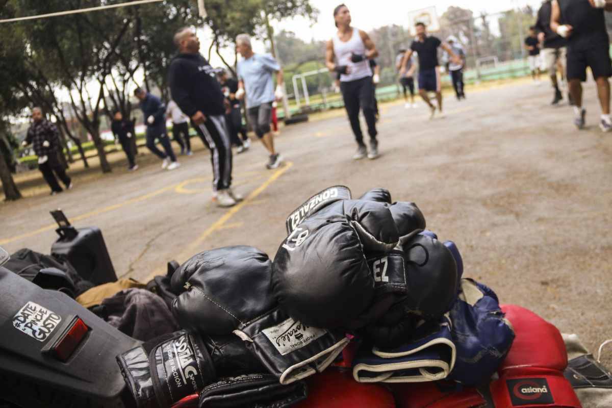 Clases de boxeo gratis jovenes