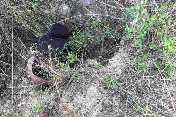 Colectivo de búsqueda halla segmentos humanos en fosa cerca de zona militar en Reynosa, Tamaulipas