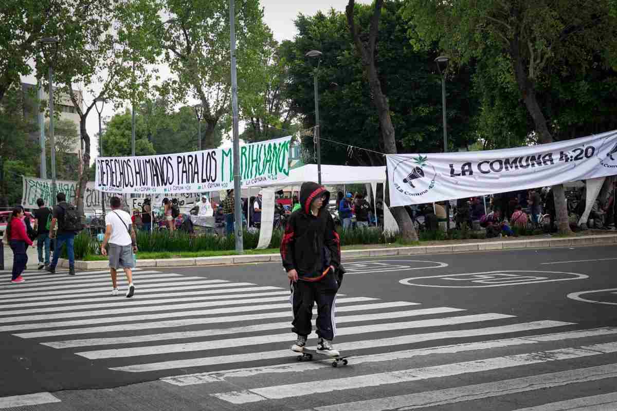 Corte determina amparar a hombre por exceder cinco gramos posesión de marihuana