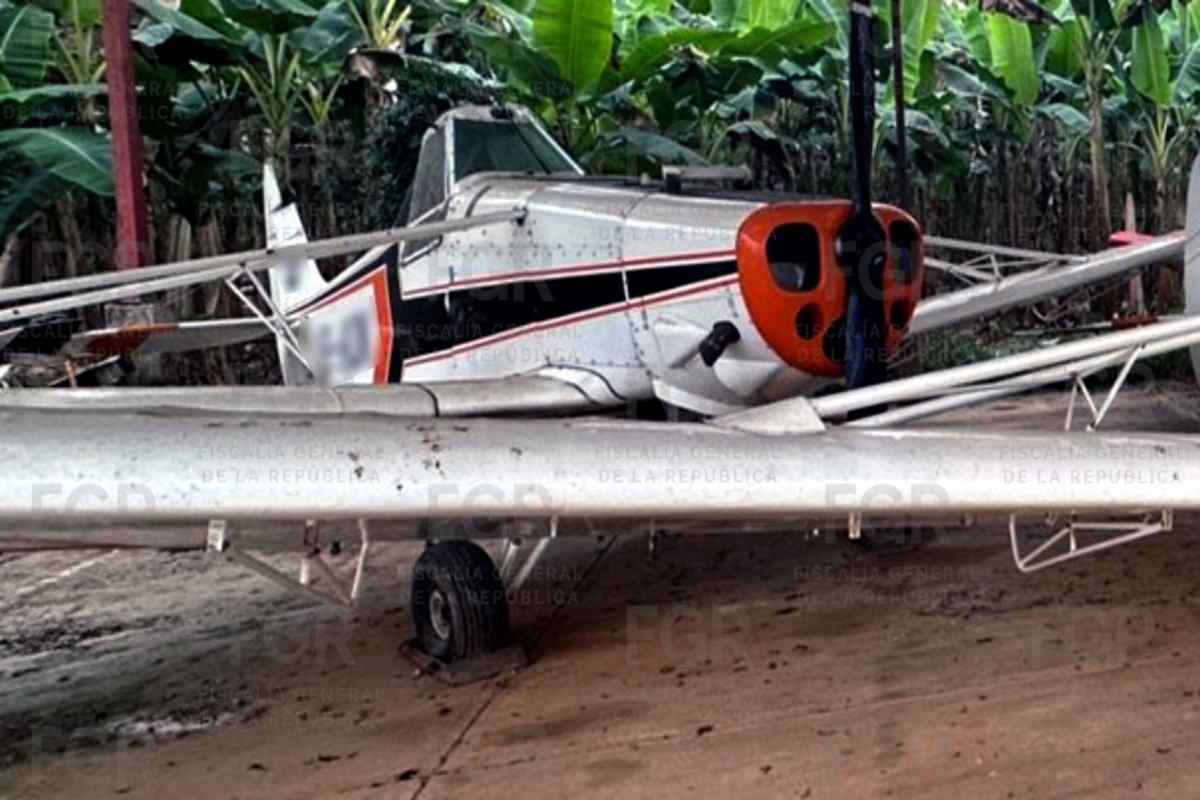 Decomisan avionetas tras cateo en Otatitlán, Veracruz; investigan uso ilícito de pista clandestina