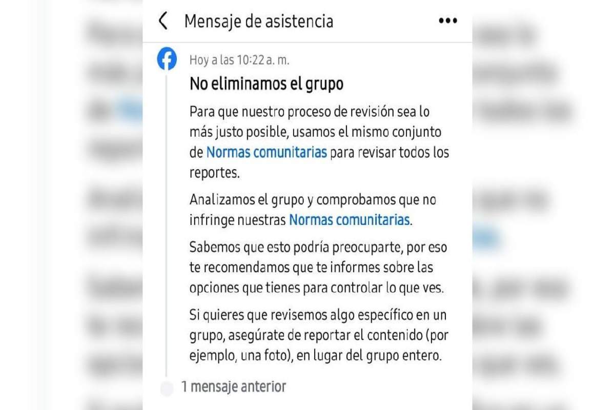 Delitos y violencias en redes: la paradoja tecnológica