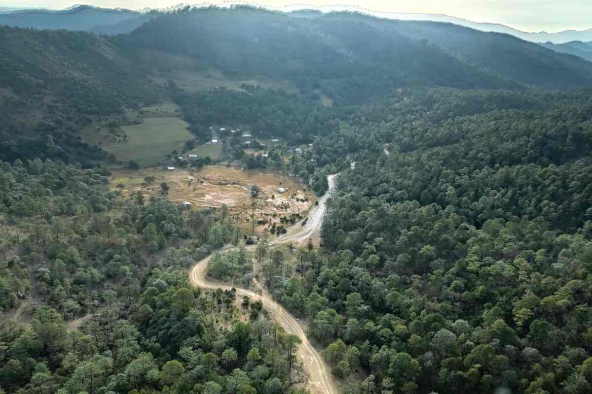 Fallece niño indígena hospitalizado en Chihuahua; su mamá nunca tuvo acceso a un intérprete