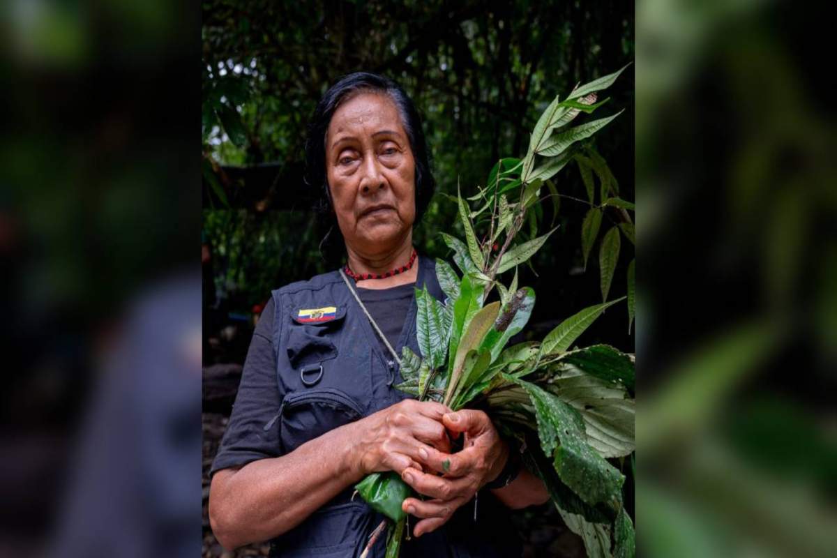 Guardia indígena infantil recorre la Amazonía para aprender a defenderla en Ecuador