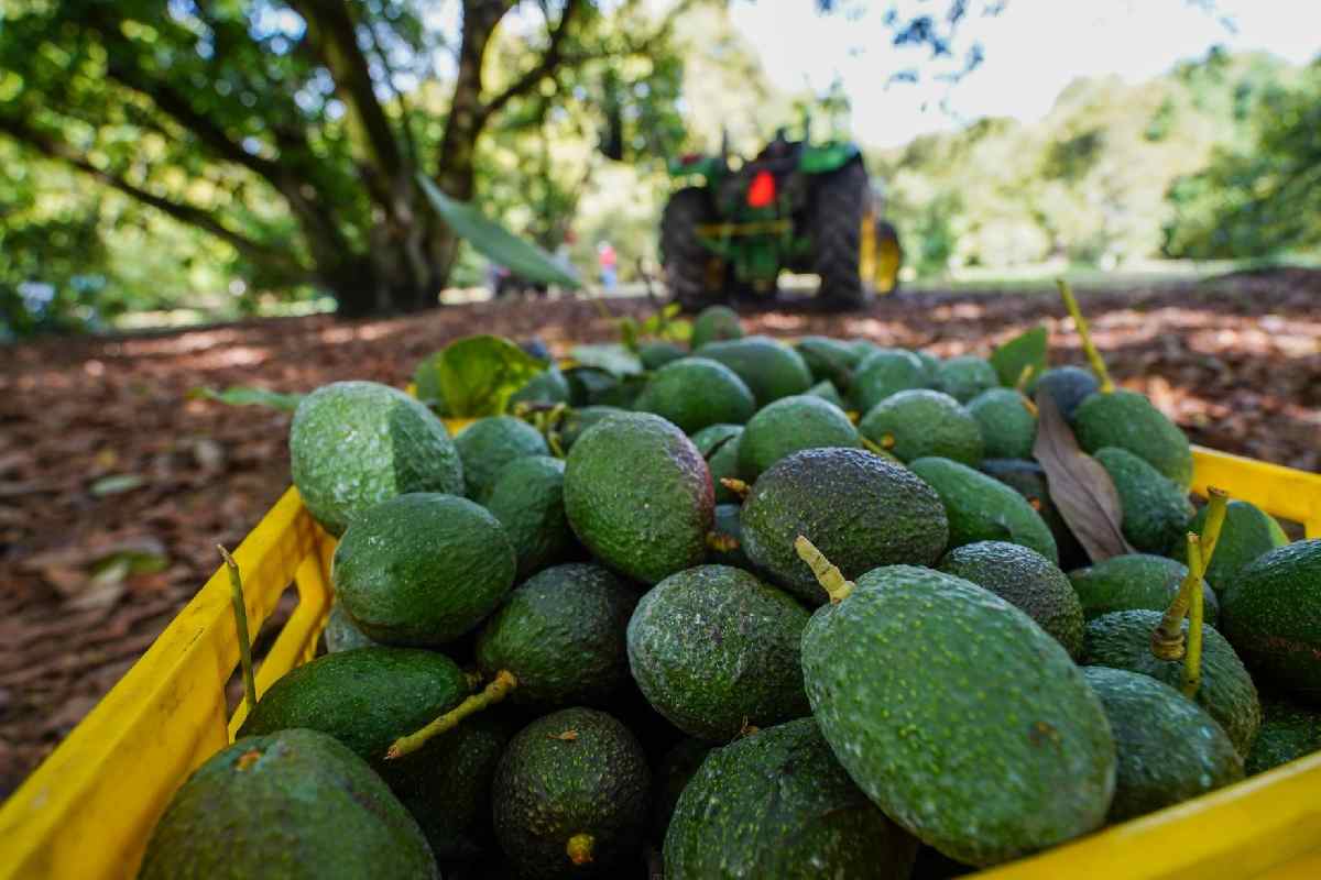 México principal exportador EU