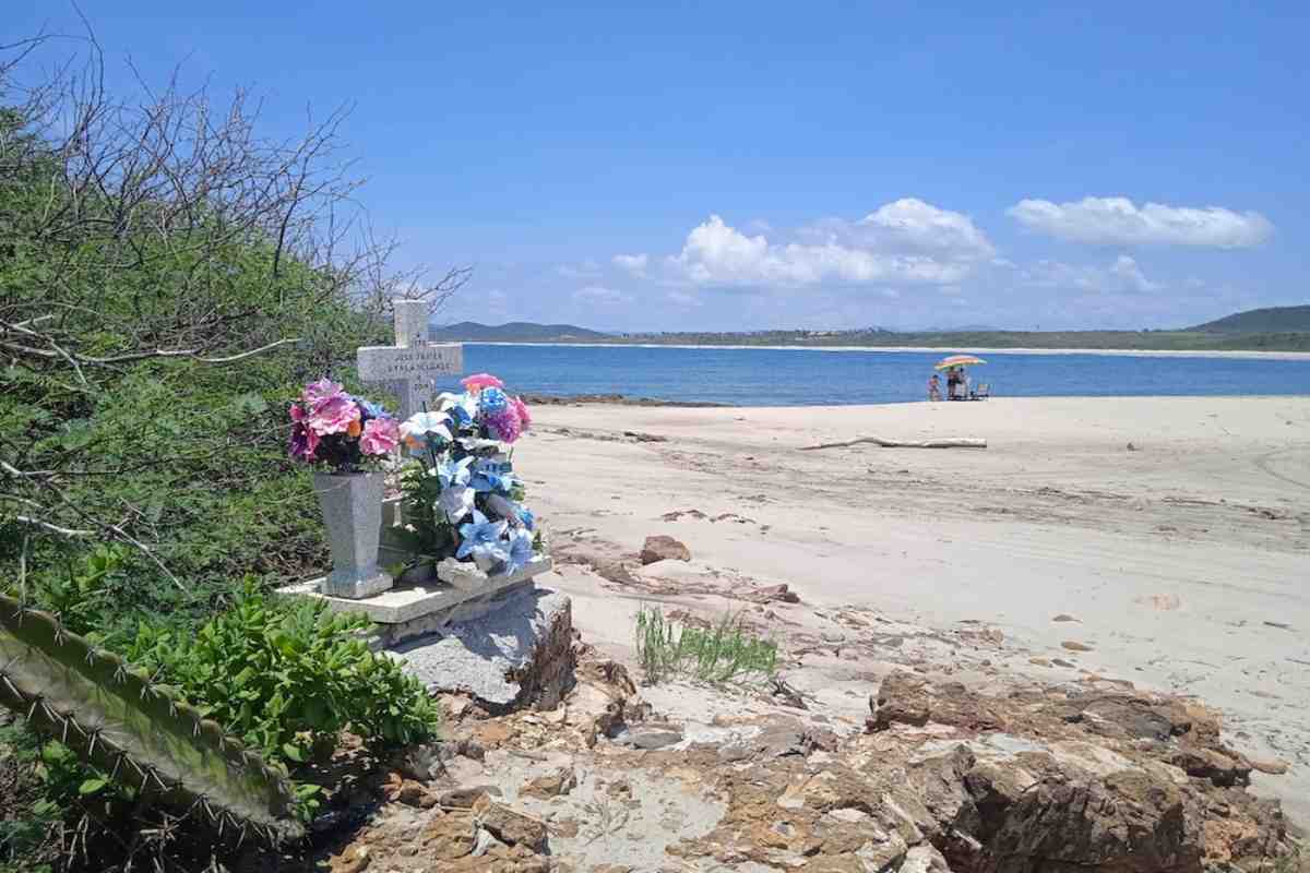 Minería, tala y narcolaboratorios: industria contaminante que CJNG expandió al mando de