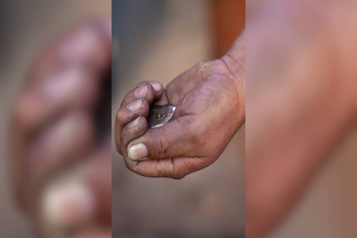 Minería, tala y narcolaboratorios: industria contaminante que CJNG expandió al mando de