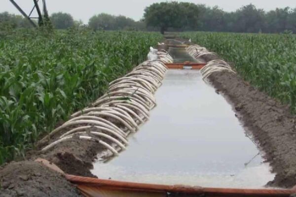 Productores de Tamaulipas se quedarían sin agua por pago adelantado a EU: Consejo Estatal Agropecuario