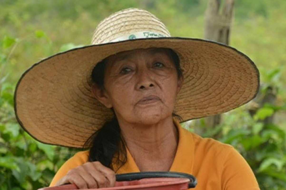 Tulia Carrillo Lizarazo