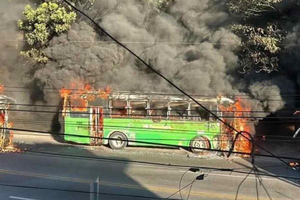 caida-el-mencho-cjng-bloqueos-violencia-animal-político-3